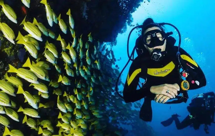 Discovery Scuba Dive Adventure for One in Palm Jumeirah | at Wondergifts