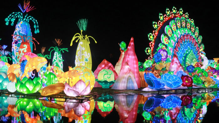 Dubai Garden Glow with Access to Glow Park and Dinosaur Park for One | at Wondergifts