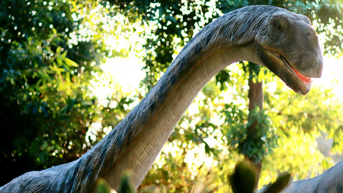 Dubai Garden Glow with Access to Glow Park and Dinosaur Park for One | at Wondergifts