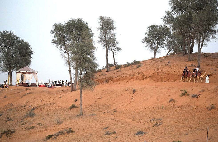 Scenic Bedouin Family Chalet Stay with BBQ, Camel Ride & More at Bedouin Oasis Desert Camp | at Wondergifts