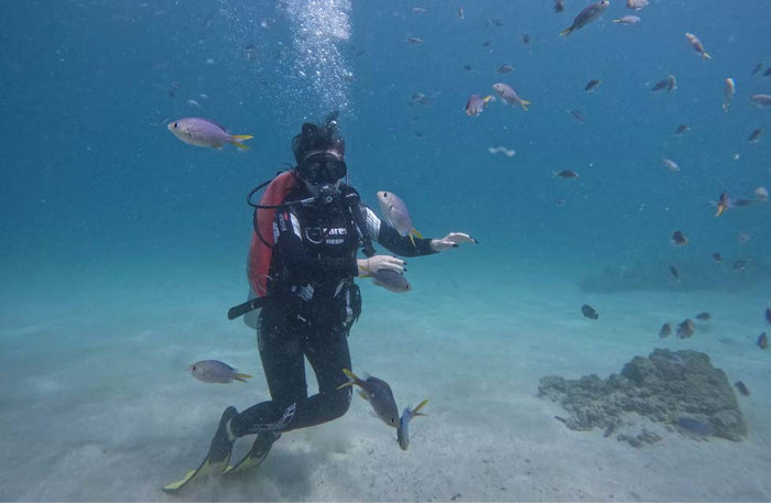 Thrilling Fujairah Two Dives Scuba Adventure and BBQ Lunch | at Wondergifts