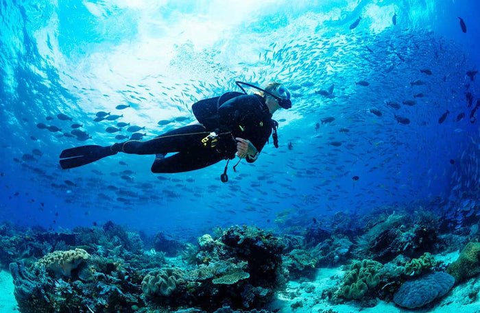 Luxury Stay at InterContinental Fujairah Resort with Scuba Diving for Two | at Wondergifts