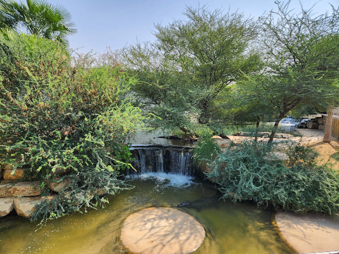 General Entry Ticket to Dubai Crocodile Park for One Adult | at Wondergifts