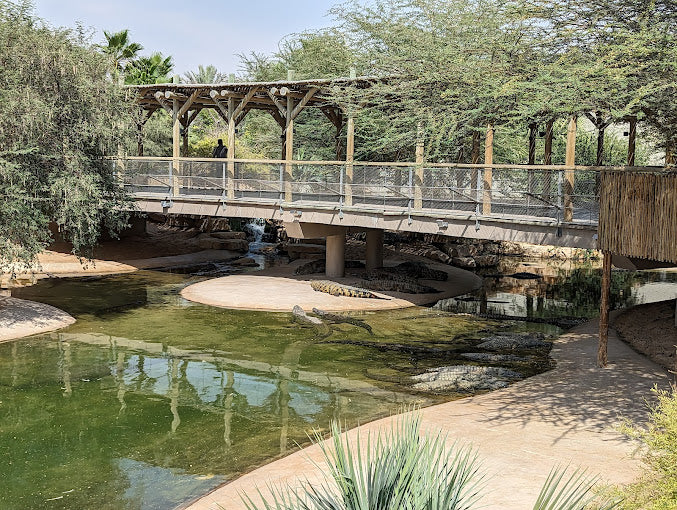 General Entry Ticket to Dubai Crocodile Park for One Adult | at Wondergifts