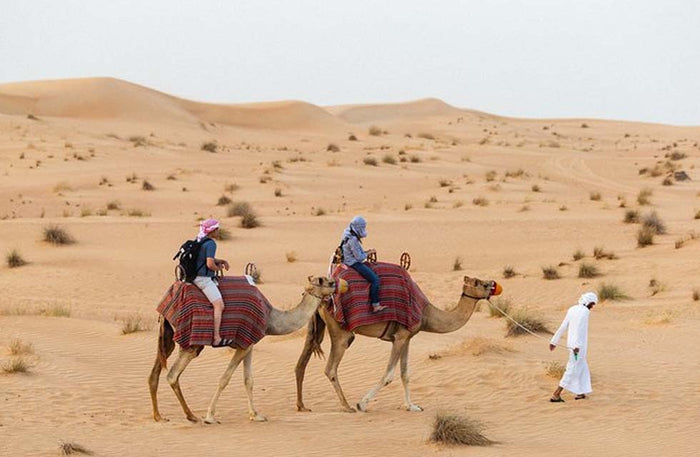 Authentic Desert Heritage Hut Stay with Breakfast & Dinner for Two | at Wondergifts