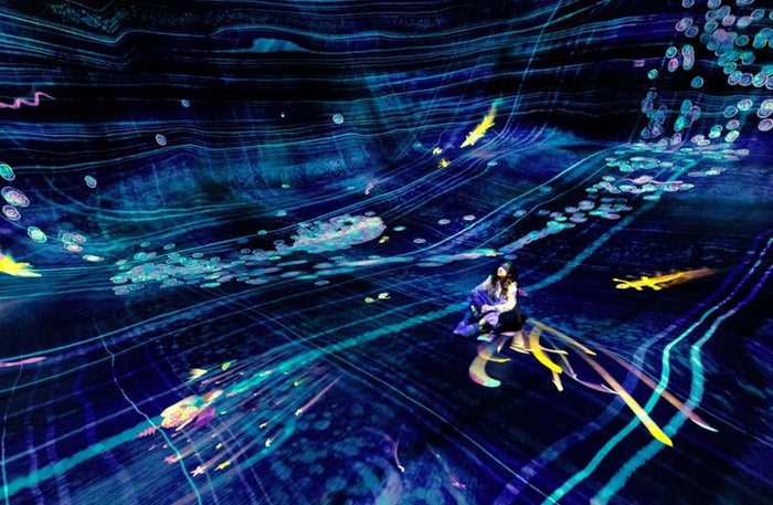 Immersive TeamLab Phenomena Abu Dhabi Experience for One | at Wondergifts