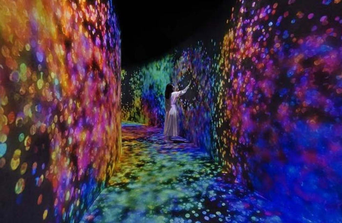 Immersive TeamLab Phenomena Abu Dhabi Experience for One | at Wondergifts