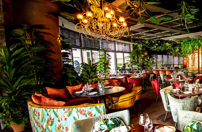 Mama Zonia Jungle-Inspired 3-Course Dining Experience with Drinks for Two