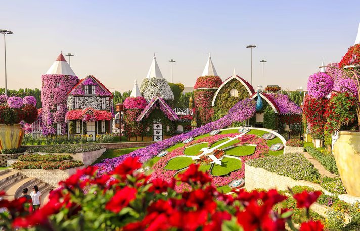 Dubai Frame and Miracle Garden Entrance Ticket for One