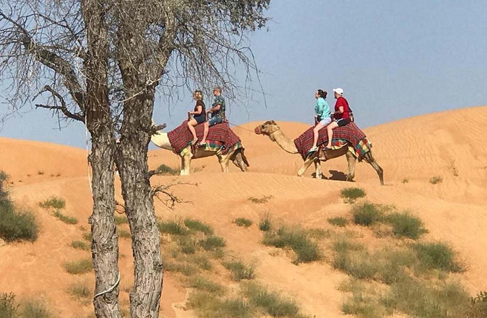 Luxurious Desert Camping in Platinum Pod with Breakfast & Dinner for Two | at Wondergifts