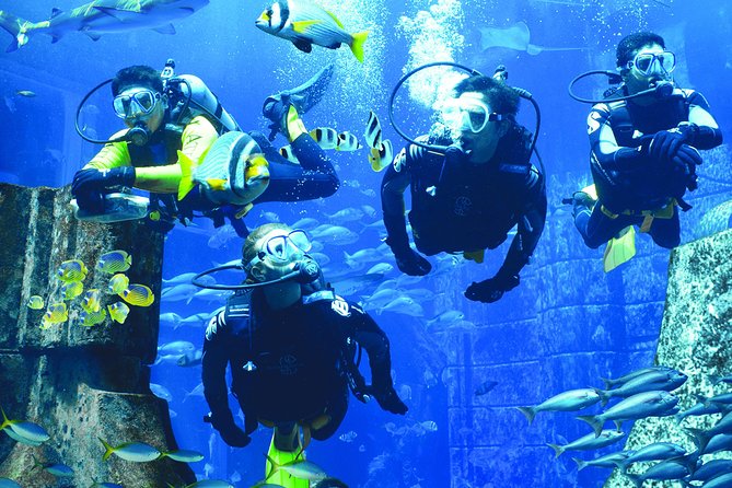 Explore the Ambassador Lagoon: Atlantis Explorer Certified Scuba Dive | at Wondergifts