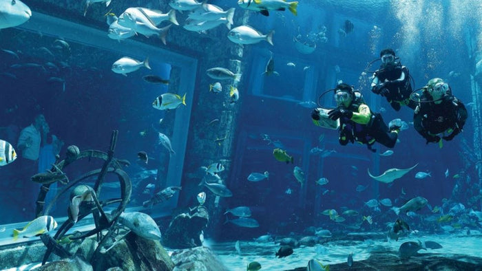 Explore the Ambassador Lagoon: Atlantis Explorer Certified Scuba Dive | at Wondergifts