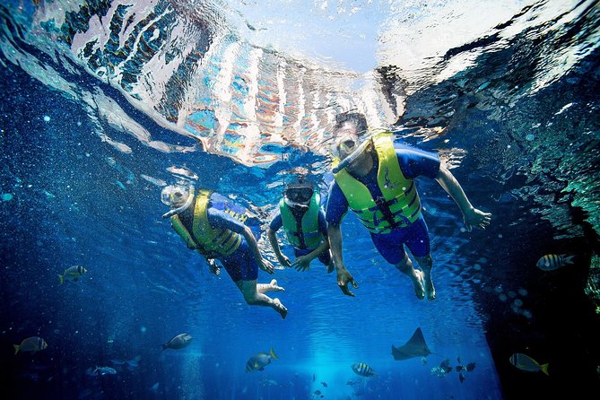 Explore the Ambassador Lagoon: Atlantis Explorer Certified Scuba Dive | at Wondergifts