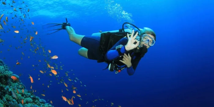 Your Ultimate Beginner's Guide to Scuba Diving Adventures in Al Fujairah | at Wondergifts