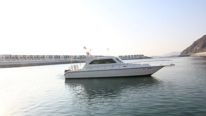 Fujairah Scuba Diving and Snorkeling with Turtles including BBQ Lunch | at Wondergifts