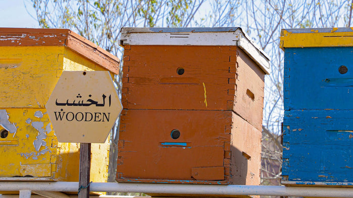 Hatta Honeybee Garden and Taste Local Honey for Two | at Wondergifts