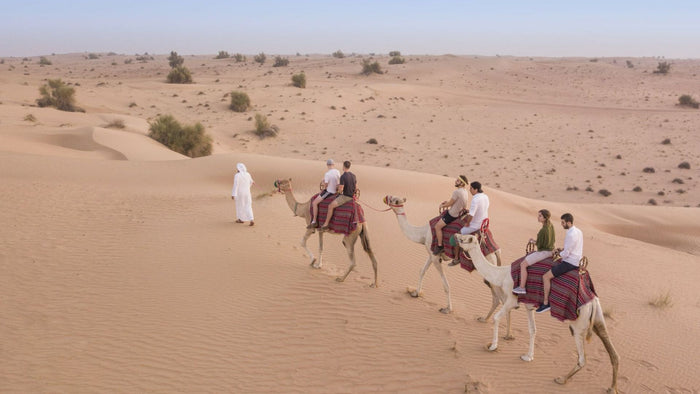Camel Desert Safari, Sunset Falcon Show and Dinner for Two | at Wondergifts