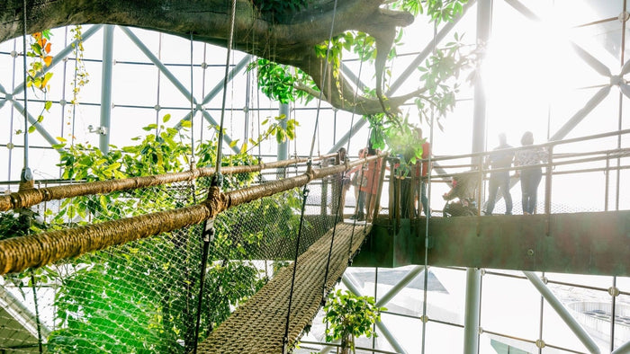 The Green Planet Day Pass for One Adult | at Wondergifts