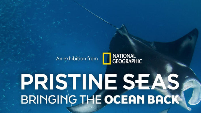 Marine Adventure Tickets for Family of Four: National Aquarium | at Wondergifts