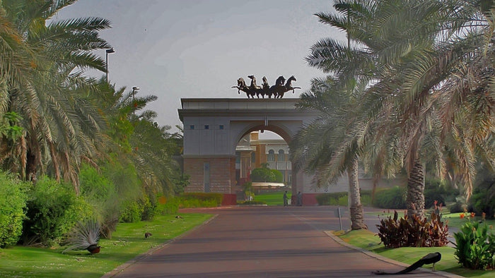 Classic Dubai City Tour of The Most Famous Landmarks | at Wondergifts