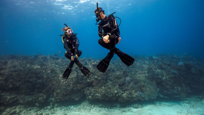 Fujairah Scuba Diving and Snorkeling with Turtles including BBQ Lunch | at Wondergifts