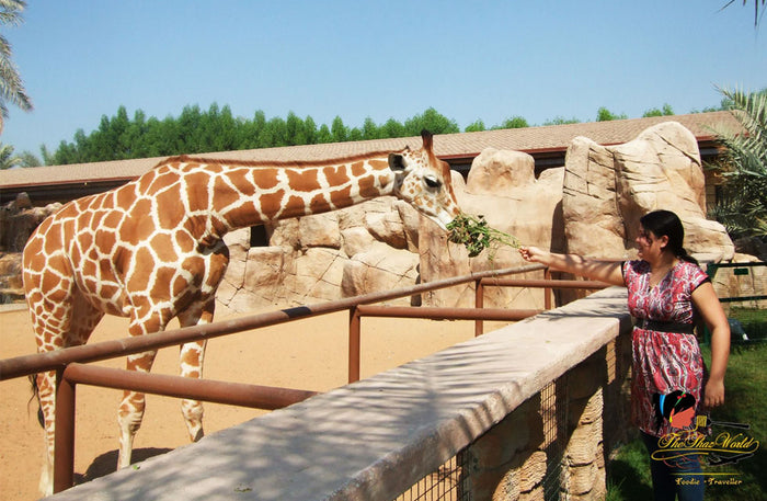 Family Stay at Emirates Park Zoo & Resort with Zoo Access and Breakfast for 3 | at Wondergifts