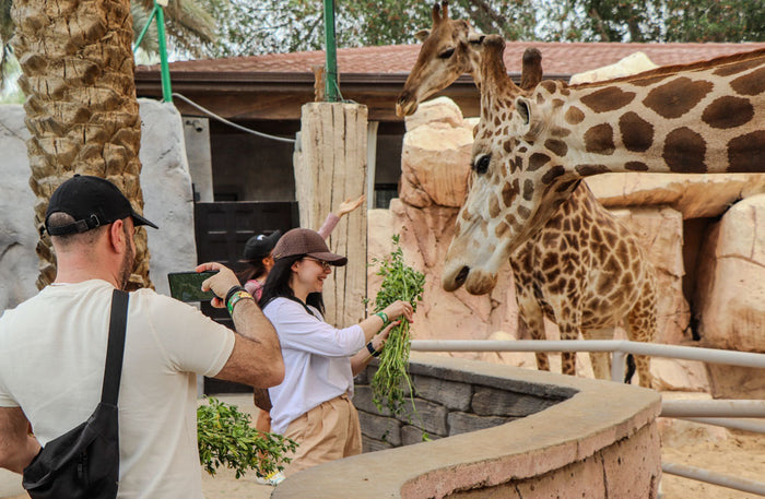 Emirates Park Zoo & Resort Family Stay with Zoo Access and Breakfast with Giraffes