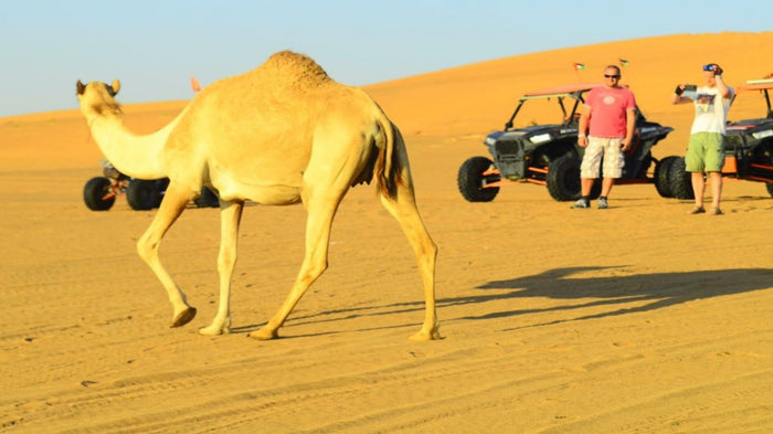 Ras Al Khaimah Afternoon Desert Safari with Dinner for Two | at Wondergifts