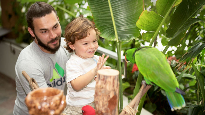Kids' Day Pass Adventure at The Green Planet | at Wondergifts