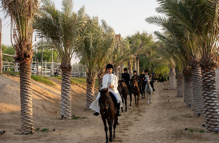 Al Marmoom Luxury Dome Stay: One Night Full Board with G-Class Safari & More | at Wondergifts