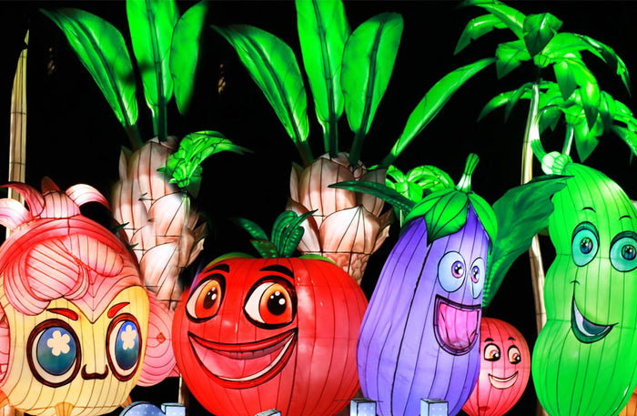 Garden Glow and The Frame Entrance tickets for One | at Wondergifts