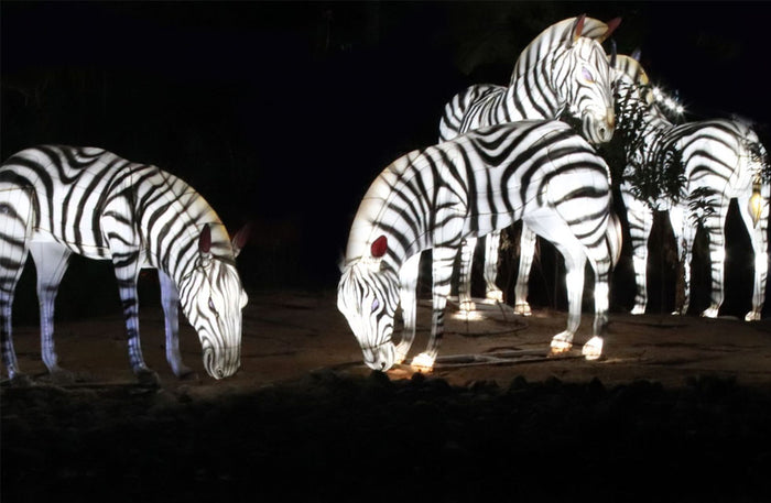 Garden Glow and The Frame Entrance tickets for One | at Wondergifts