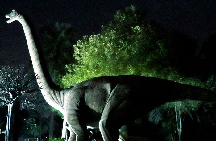 Garden Glow and The Frame Entrance tickets for One | at Wondergifts