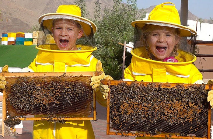 Safari in Hatta with Breakfast and Honey Farm Visit for Two | at Wondergifts