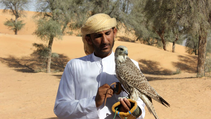 Falconry Experience with Gourmet Breakfast | at Wondergifts