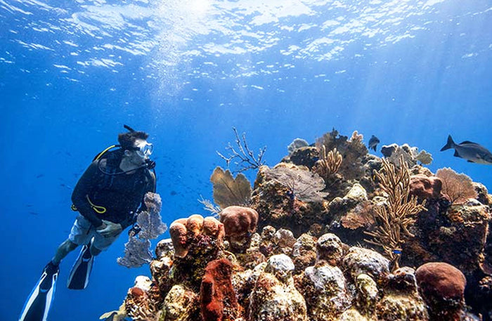 Fujairah Stay & Scuba Dive Gift Box: Luxury Stay with Dive Experience for Two | at Wondergifts