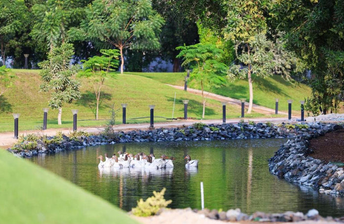 Unique One-Night Stay in a Luxurious Wagon with Breakfast for Two at Nirvana Retreat | at Wondergifts