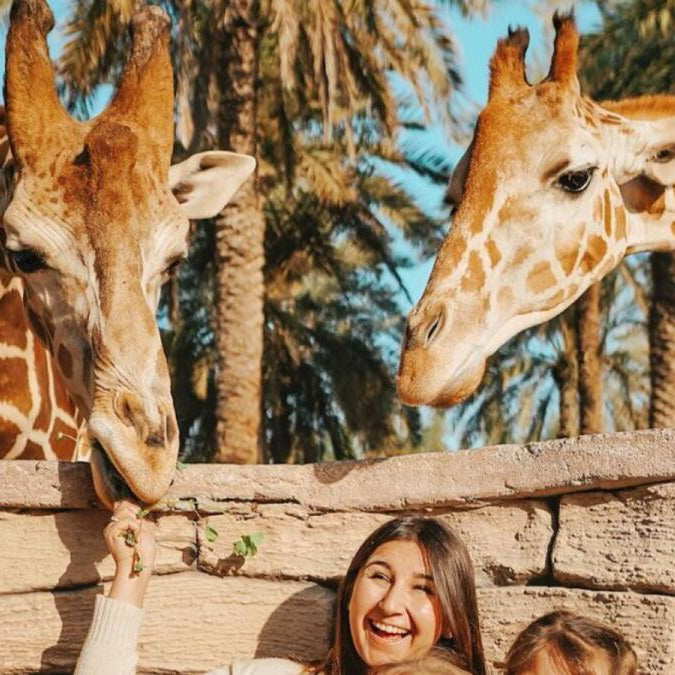 Best Experience for Animal Lovers In the UAE