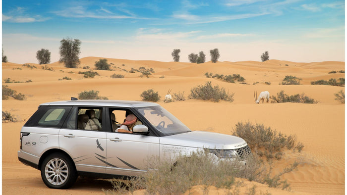 Private Royal Desert Experience in exclusive Desert Oasis for Four |  at Wondergifts