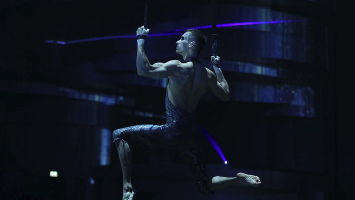 Spectacular Silver B Ticket to the Unforgettable La Perle Show for One |  at Wondergifts