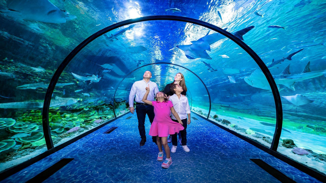 Bu Tinah Glass Dhow Trip for Family of Four at The National Aquarium