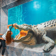 3D World Selfie Museum Dubai General Admission For Two |  at Wondergifts