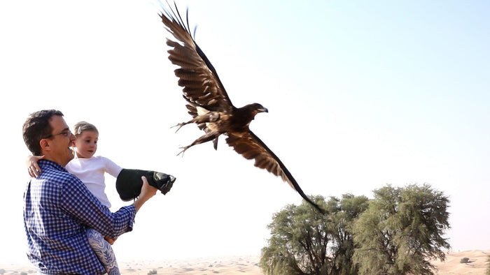 Falconry Experience with Gourmet Breakfast |  at Wondergifts