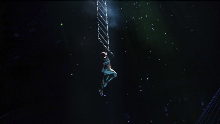 Spectacular Silver B Ticket to the Unforgettable La Perle Show for One |  at Wondergifts