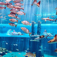 Atlantis Aquaventure Day Pass for One Child |  at Wondergifts