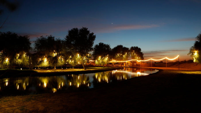 Mercedes G Class Desert Safari with Dinner Al Marmoom Oasis |  at Wondergifts