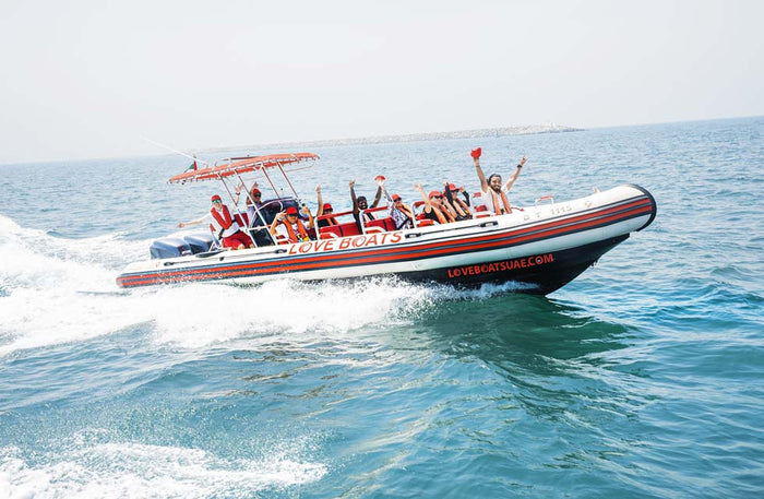 Sightseeing Marina Skyline Boat Tour for One with Love Boats |  at Wondergifts