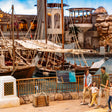 General Admission Ticket to SeaWorld Yas Island Abu Dhabi