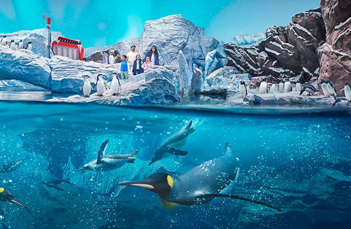 Yas Island Family Stay & Play: 2-Night, Theme Park & Breakfast - Kids Go Free |  at Wondergifts