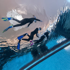 Snorkeling Experience at Deep Dive Dubai